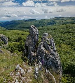 Köpüs-kő