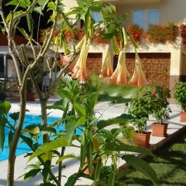 Alfa Hotel Miskolctapolca - Külső kép