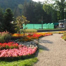 Amigó Apartman Miskolctapolca - Környék