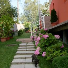 Éden Vendégház Miskolctapolca - Medence/kert