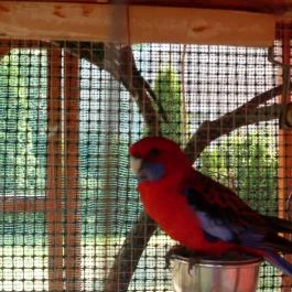 Éden Vendégház Miskolctapolca - Egyéb