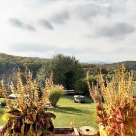 Mókus Apartman Miskolctapolca - Medence/kert