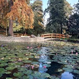 Mókus Apartman Miskolctapolca - Környék