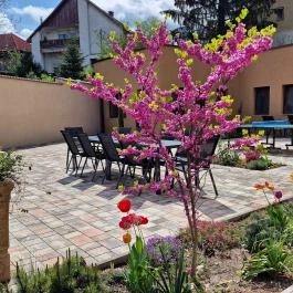 Second Home Apartments Miskolctapolca - Egyéb