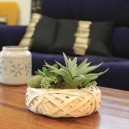 Zenit Panzió Miskolctapolca - Egyéb