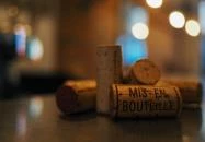 Mogyoród - Mogyoródi pincesor