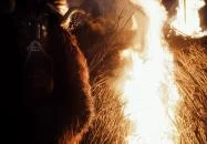 Mohács - Mohácsi busójárás