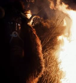 Mohácsi busójárás