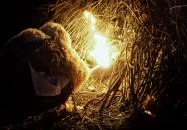 Mohácsi busójárás Mohács