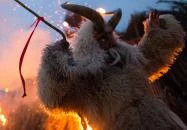 Mohácsi busójárás Mohács