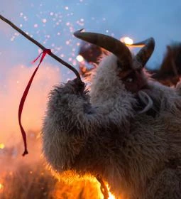 Mohácsi busójárás