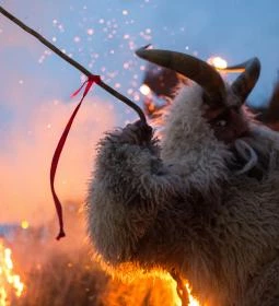 Mohácsi busójárás