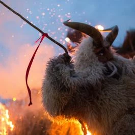 Mohácsi busójárás Mohács - Egyéb