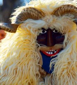 Mohácsi busójárás