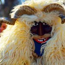 Mohácsi busójárás Mohács - Egyéb