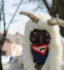 Mohácsi busójárás