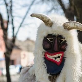 Mohácsi busójárás Mohács - Egyéb