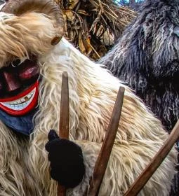 Mohácsi busójárás