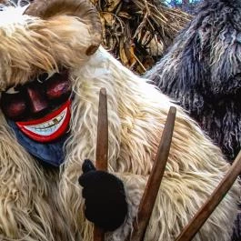 Mohácsi busójárás Mohács - Egyéb