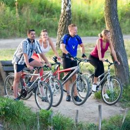 Hétkúti Wellness Hotel & Lovaspark Mór - 