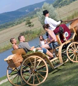 Hétkúti Wellness Hotel & Lovaspark