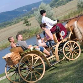 Hétkúti Wellness Hotel & Lovaspark Mór - 