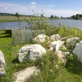 Hétkúti Wellness Hotel & Lovaspark Mór - Külső kép