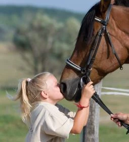 Hétkúti Wellness Hotel & Lovaspark