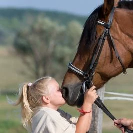 Hétkúti Wellness Hotel & Lovaspark Mór - 
