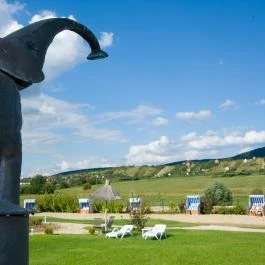 Hétkúti Wellness Hotel & Lovaspark Mór - Medence/kert