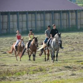 Hétkúti Wellness Hotel & Lovaspark Mór - 