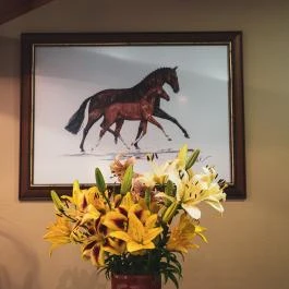 Hétkúti Wellness Hotel & Lovaspark Mór - Egyéb