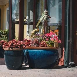 Hétkúti Wellness Hotel & Lovaspark Mór - Egyéb