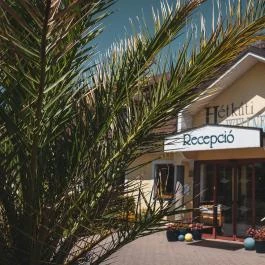 Hétkúti Wellness Hotel & Lovaspark Mór - Egyéb