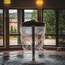 Hétkúti Wellness Hotel & Lovaspark Mór - Egyéb