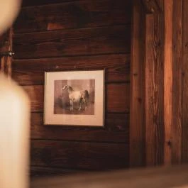 Hétkúti Wellness Hotel & Lovaspark Mór - Egyéb