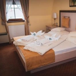 Hétkúti Wellness Hotel & Lovaspark Mór - Egyéb