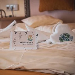 Hétkúti Wellness Hotel & Lovaspark Mór - Egyéb