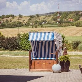 Hétkúti Wellness Hotel & Lovaspark Mór - Egyéb