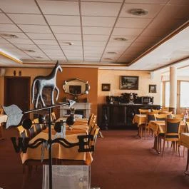 Hétkúti Wellness Hotel & Lovaspark Mór - Egyéb