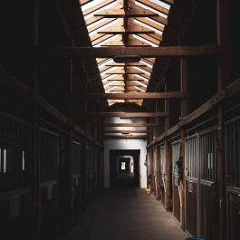 Hétkúti Wellness Hotel & Lovaspark Mór - Egyéb