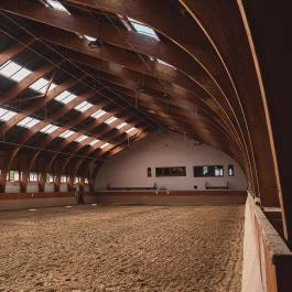 Hétkúti Wellness Hotel & Lovaspark Mór - Egyéb