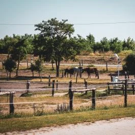 Hétkúti Wellness Hotel & Lovaspark Mór - Egyéb