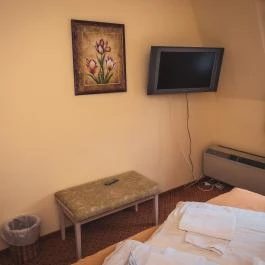 Hétkúti Wellness Hotel & Lovaspark Mór - Egyéb