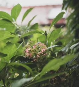 Öreg Prés Butikhotel