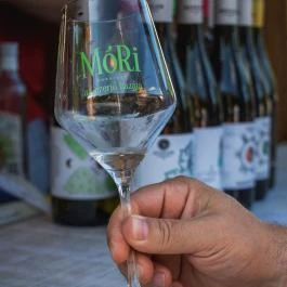 Öreg Prés Butikhotel Mór - Egyéb