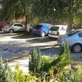 4Barát Apartman Mórahalom - Medence/kert