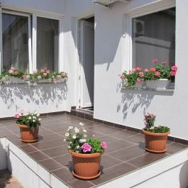 Móra-Fészek Vendégház Mórahalom - Külső kép