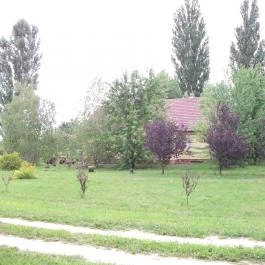 Páva Vendégház Mórahalom - Medence/kert