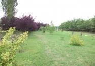 Páva Vendégház Mórahalom